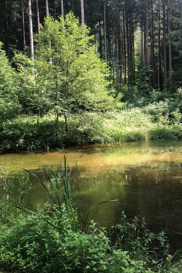 Apartma Lupis Podvolovljek Exteriér fotografie