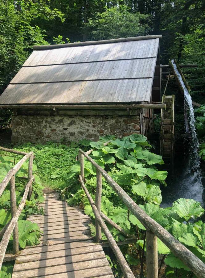 Apartma Lupis Podvolovljek Exteriér fotografie
